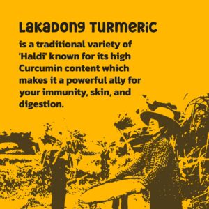 BA Product Photos DEC 2025 01LT