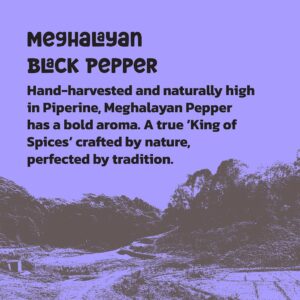 BA Product Photos DEC 2025 01MP