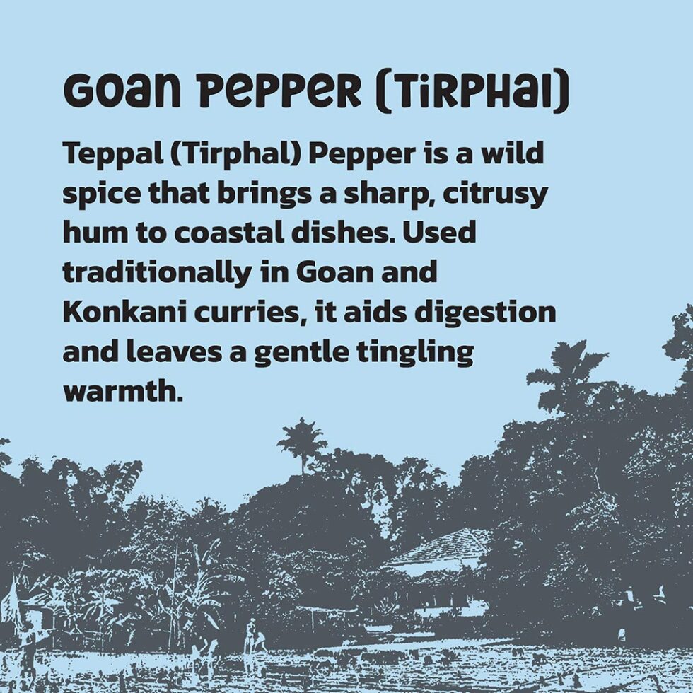 BA Product Photos DEC 2025 01TP