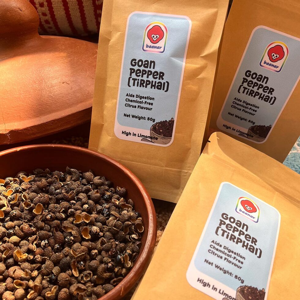 BA Product Photos DEC 2025 01TP