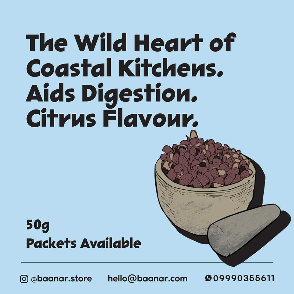 BA Product Photos DEC 2025 01TP